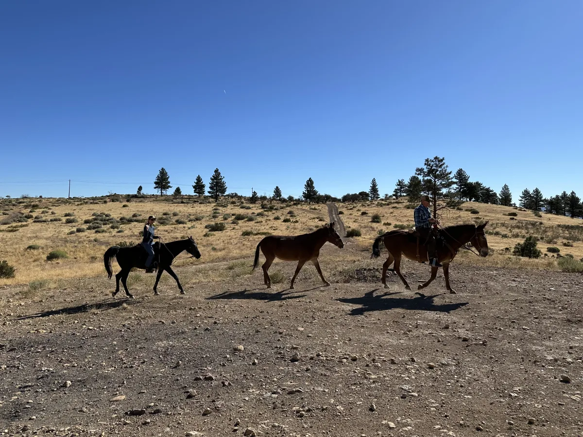 Wide outdoor landscape photo with two people horseback riding along a dirt trail on a dry, grassy hillside under a large clear blue sky; a third horse is being led on a rope behind the rider on the right.