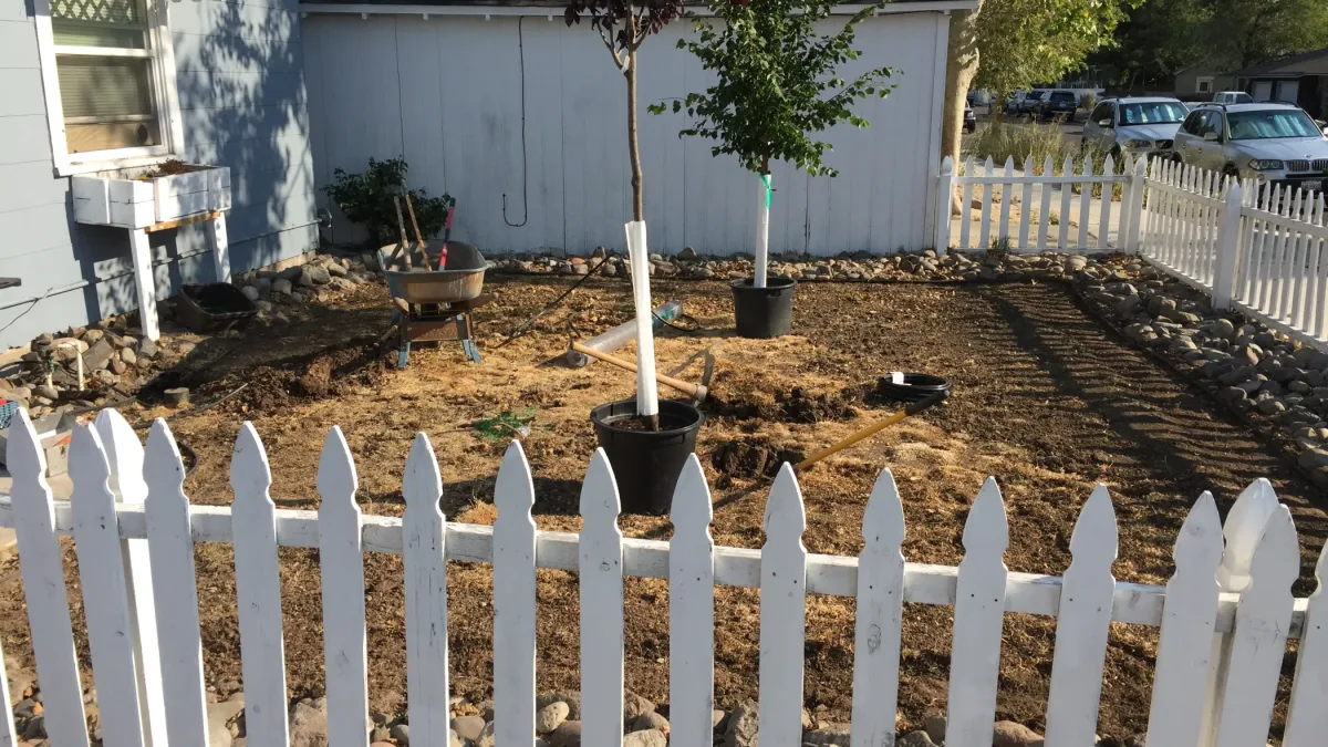 Outdoor yard scene behind a white picket fence.