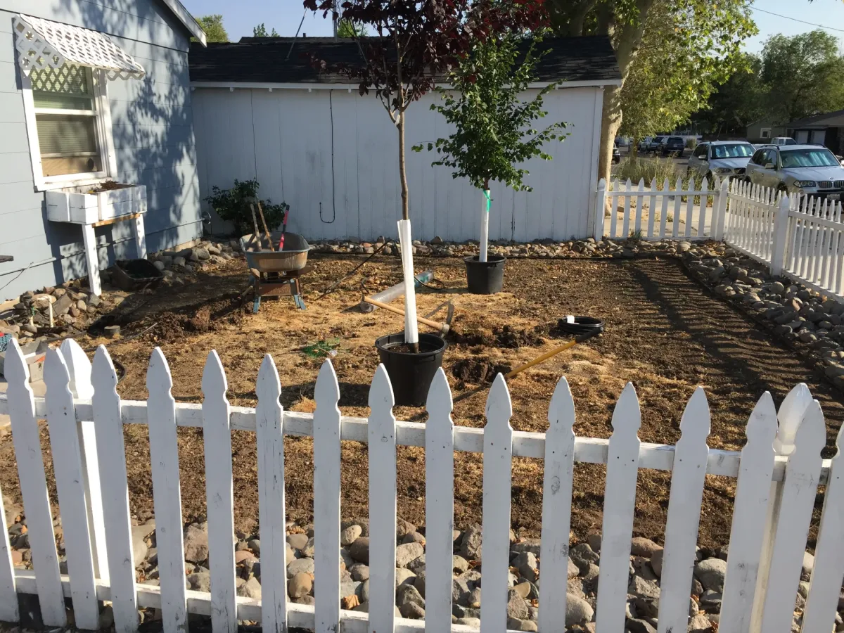 Outdoor yard scene behind a white picket fence.