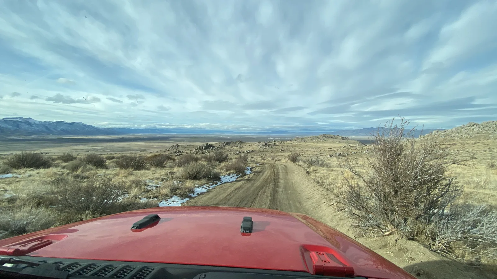 IMG 1618