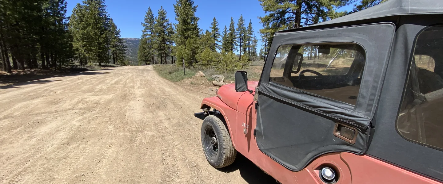 Wide outdoor landscape photo of a dirt/gravel road curving through a pine forest under a clear blue sky, with a red off-road vehicle (Jeep) with a black soft top occupying the right side foreground.