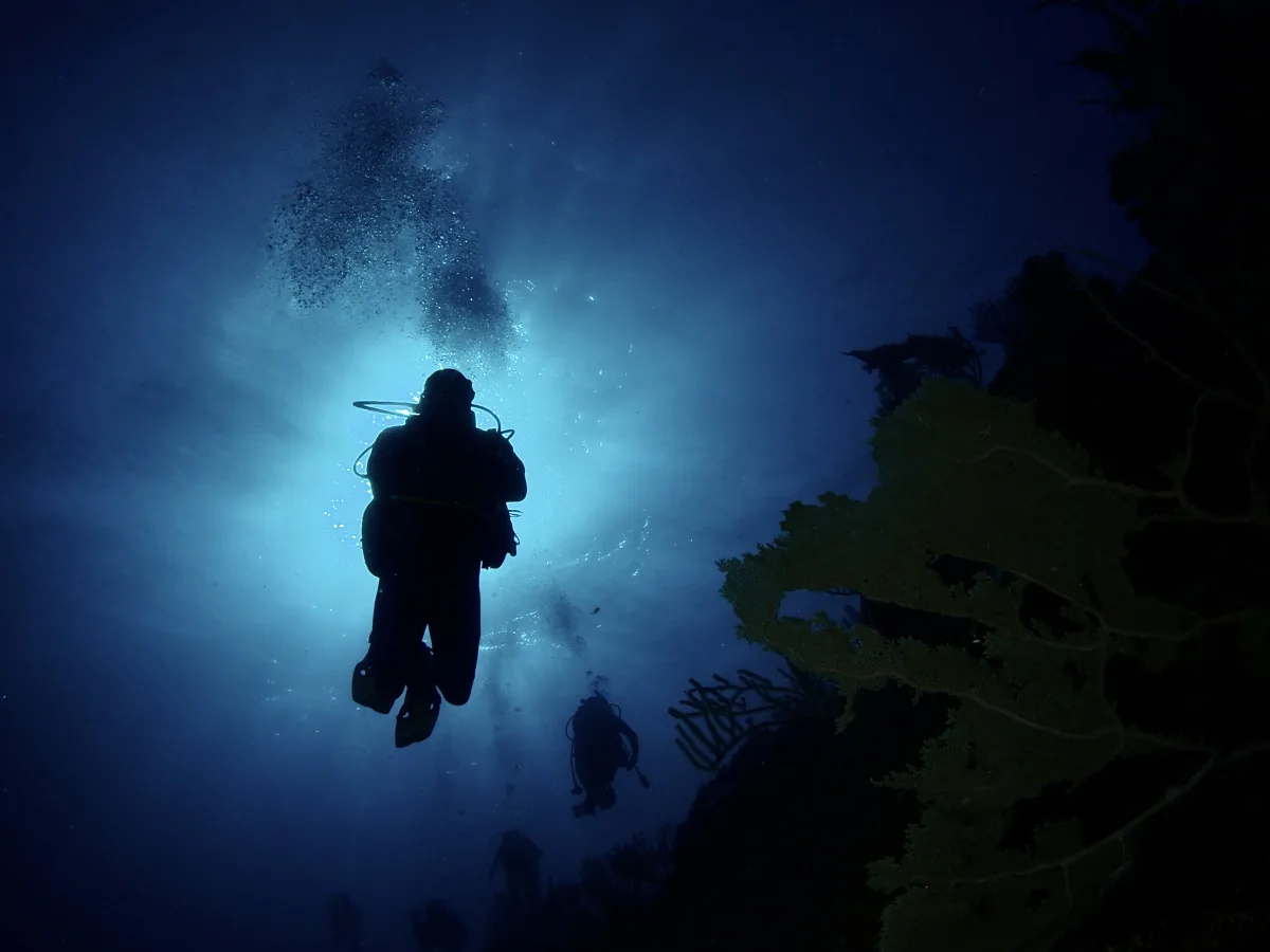 Underwater-Silhouette-P3040120.jpeg