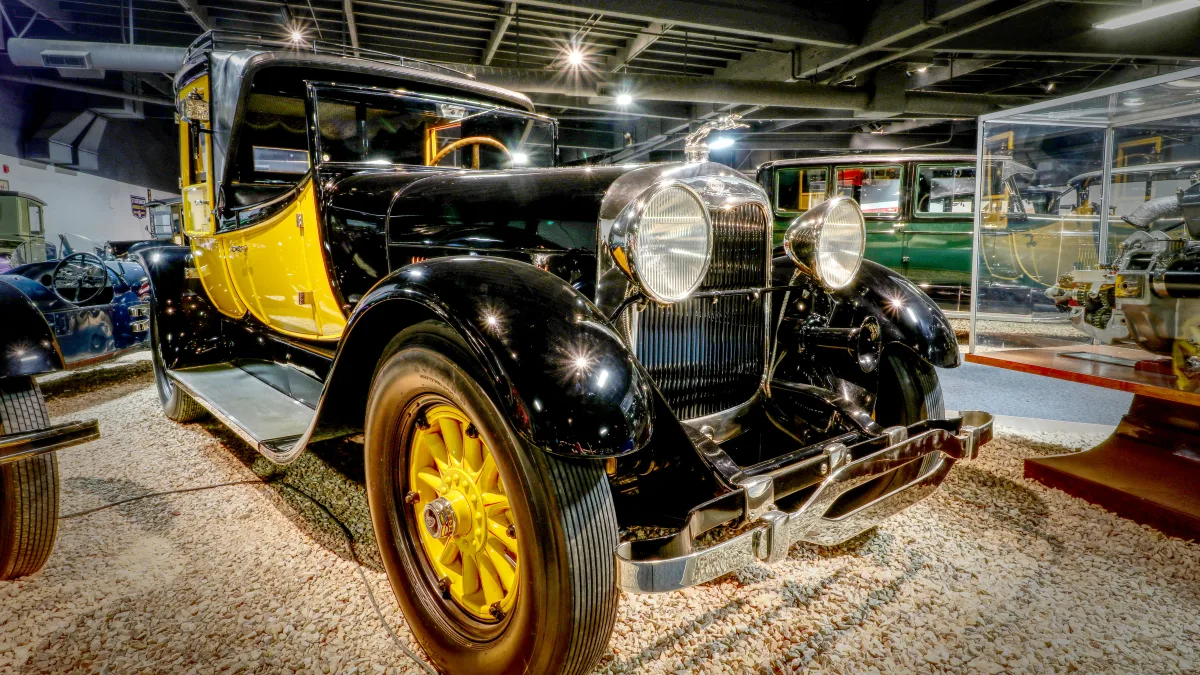Jaguar Yellow 1