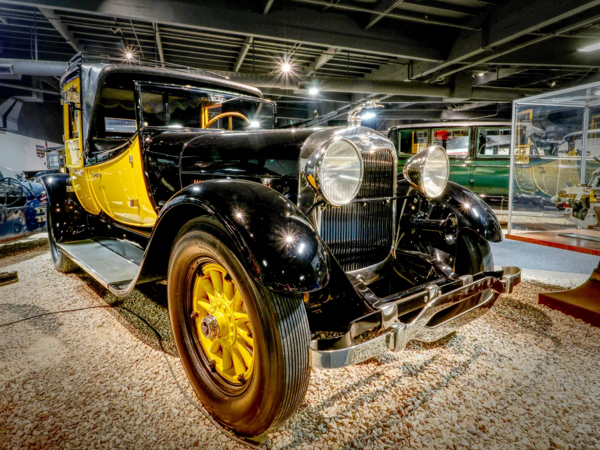 Jaguar Yellow 1
