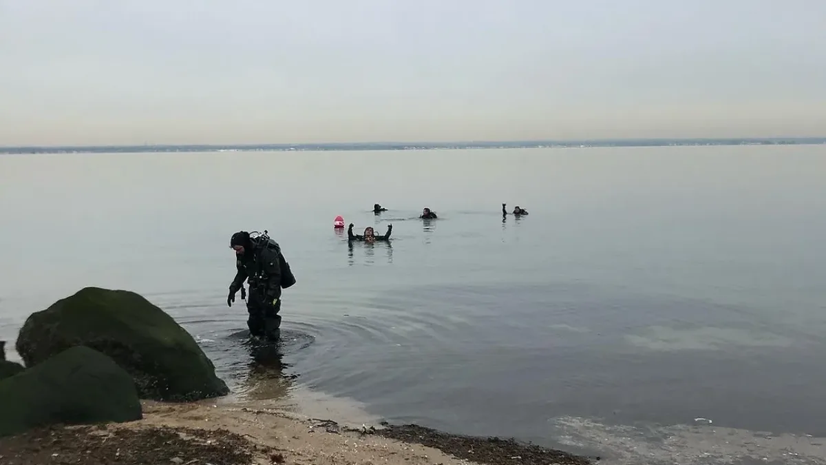 A wide, calm-water shoreline scene with several people in scuba/water gear in shallow water.