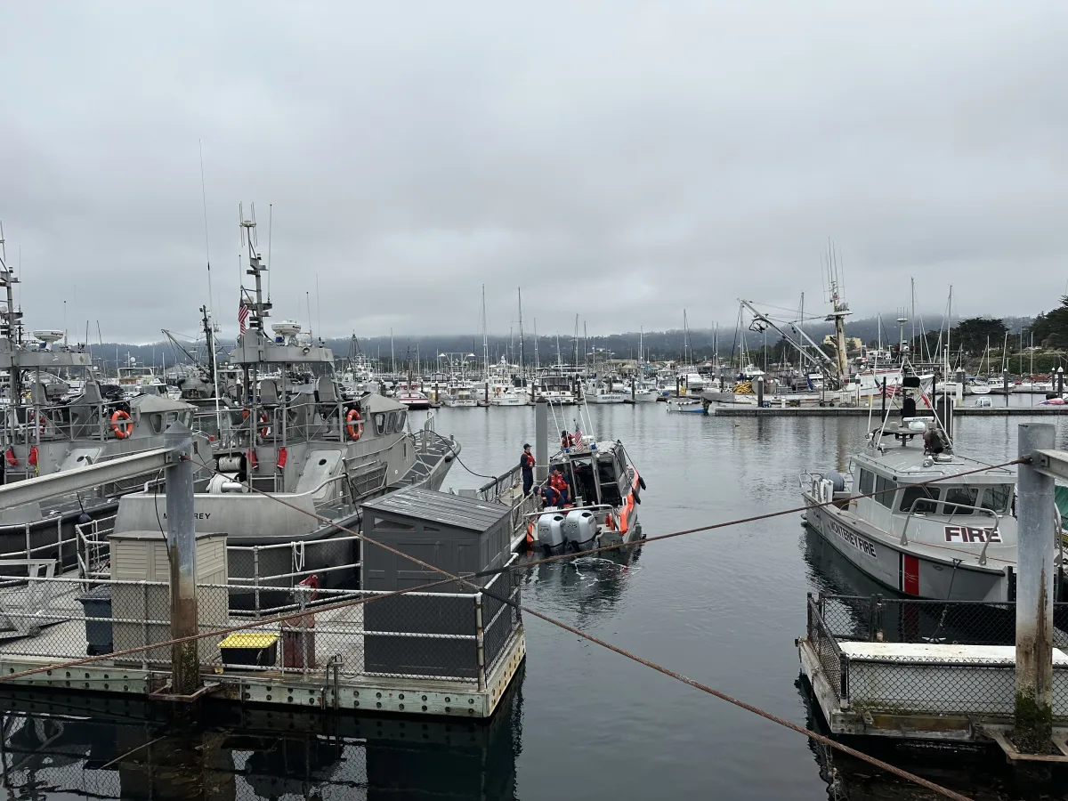 Wide harbor/marina scene under an overcast sky with multiple docked vessels.