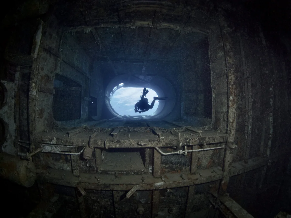 Kittewake P4197357