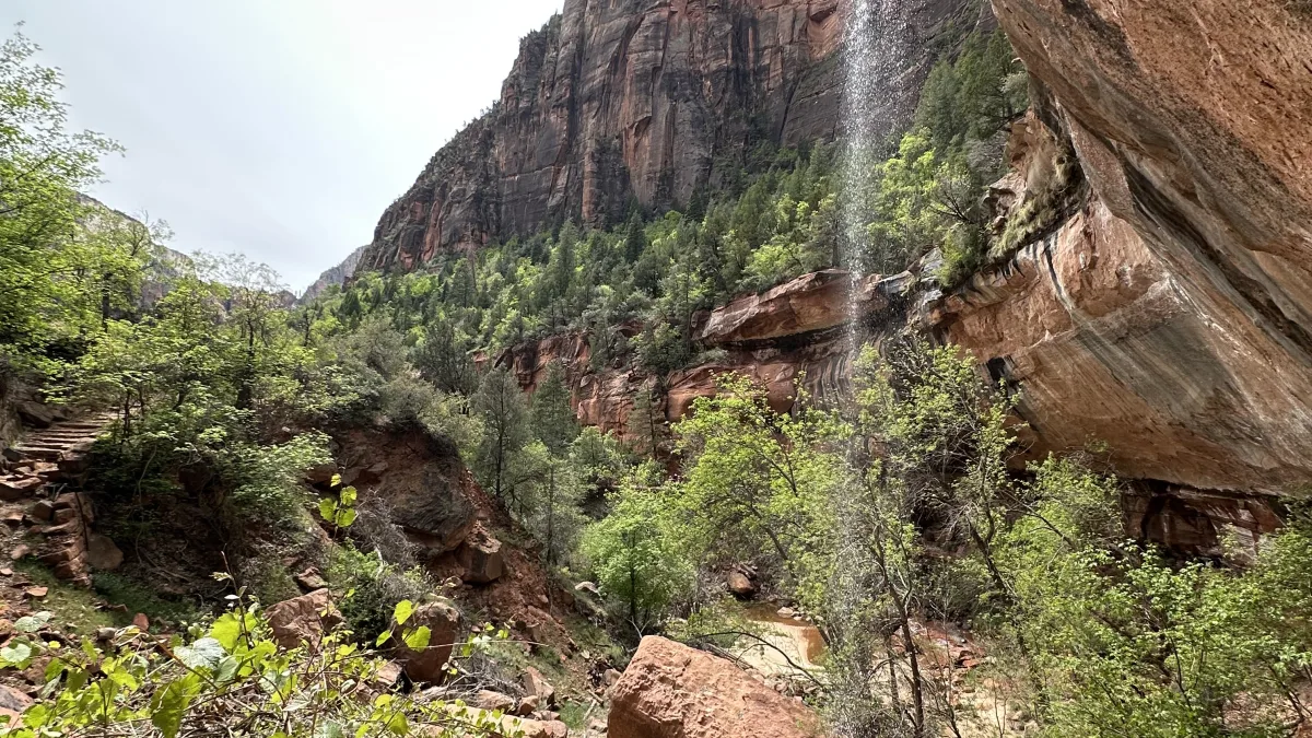 Wide-angle outdoor landscape showing a tall red-and-brown sandstone cliff and a canyon filled with green trees and shrubs.