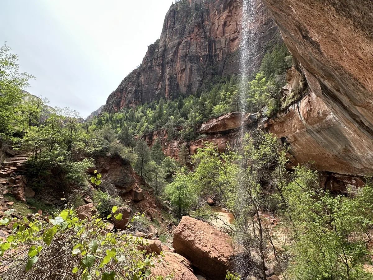 Wide-angle outdoor landscape showing a tall red-and-brown sandstone cliff and a canyon filled with green trees and shrubs.
