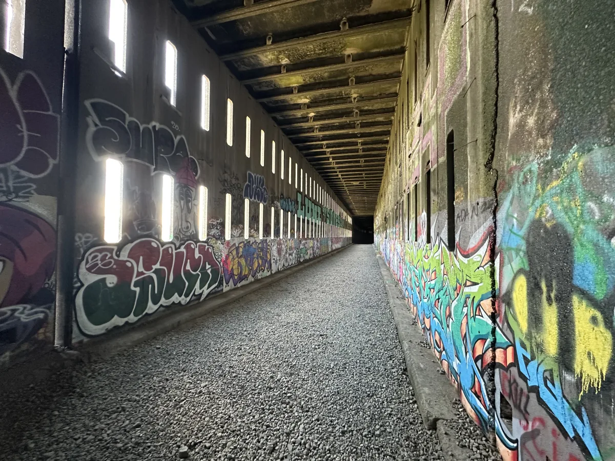 IMG_8513.jpeg