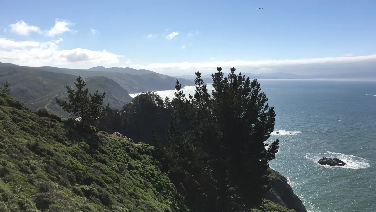 Wide landscape photo of a coastal mountainside with green shrubs and several tall evergreen trees in the foreground, overlooking ocean water and a curving coastline under a mostly clear blue sky with scattered clouds; a small bird is visibl