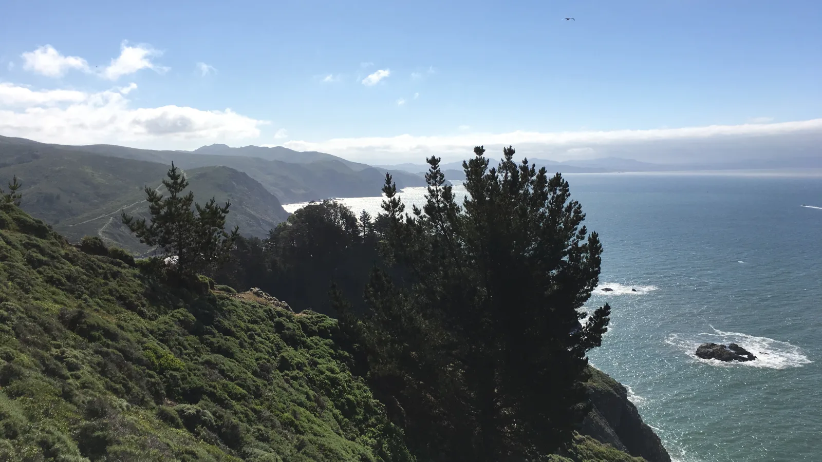 Wide landscape photo of a coastal mountainside with green shrubs and several tall evergreen trees in the foreground, overlooking ocean water and a curving coastline under a mostly clear blue sky with scattered clouds; a small bird is visibl