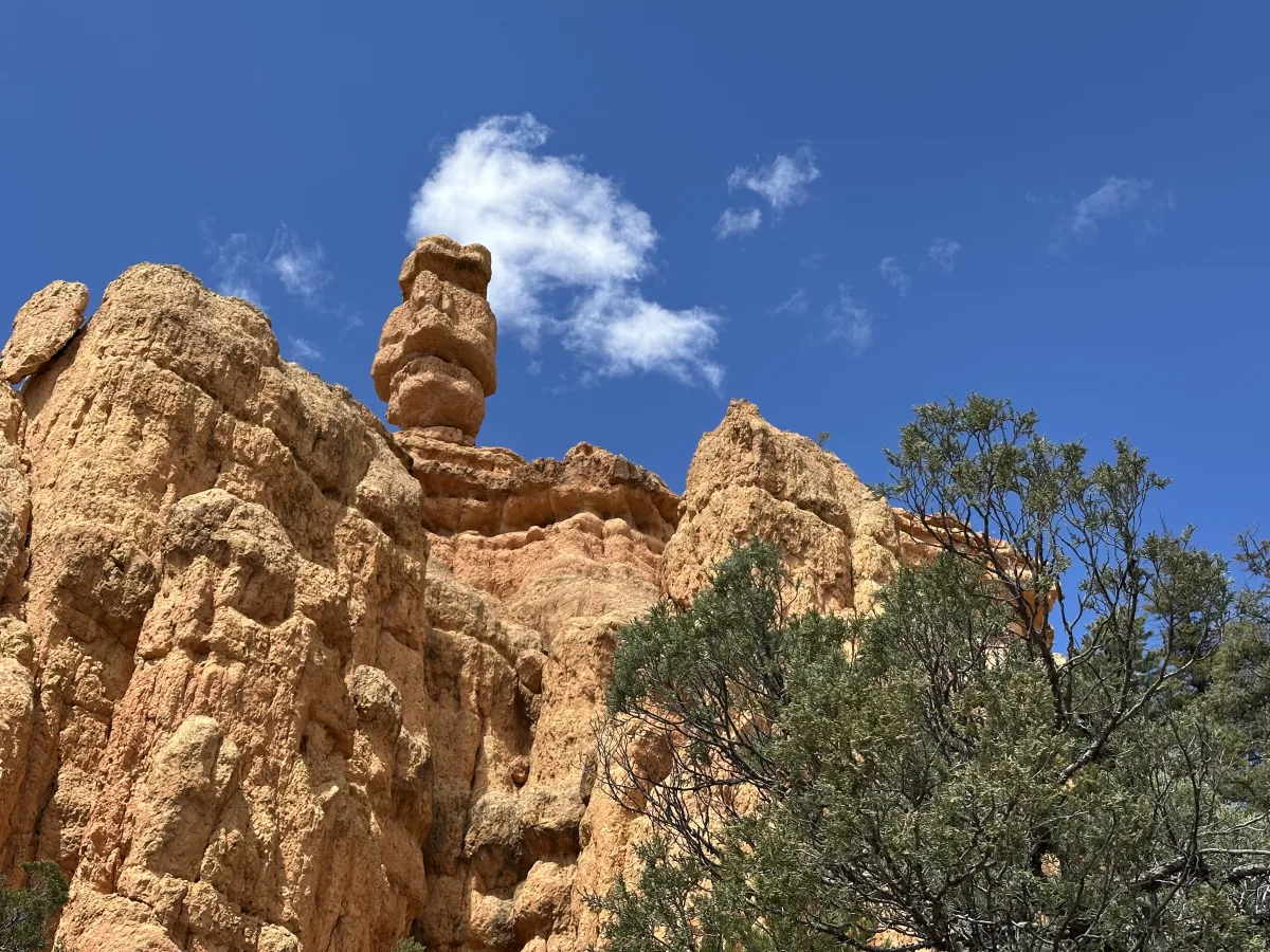 Low-angle landscape photo of rugged orange rock formations with a tall balanced rock/hoodoo near the upper center-left, set against a deep blue sky with a few white clouds; desert shrubs/trees occupy the lower-right foreground.