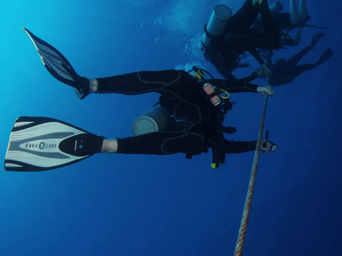 maui-scuba-divers-on-ascent-line.jpeg