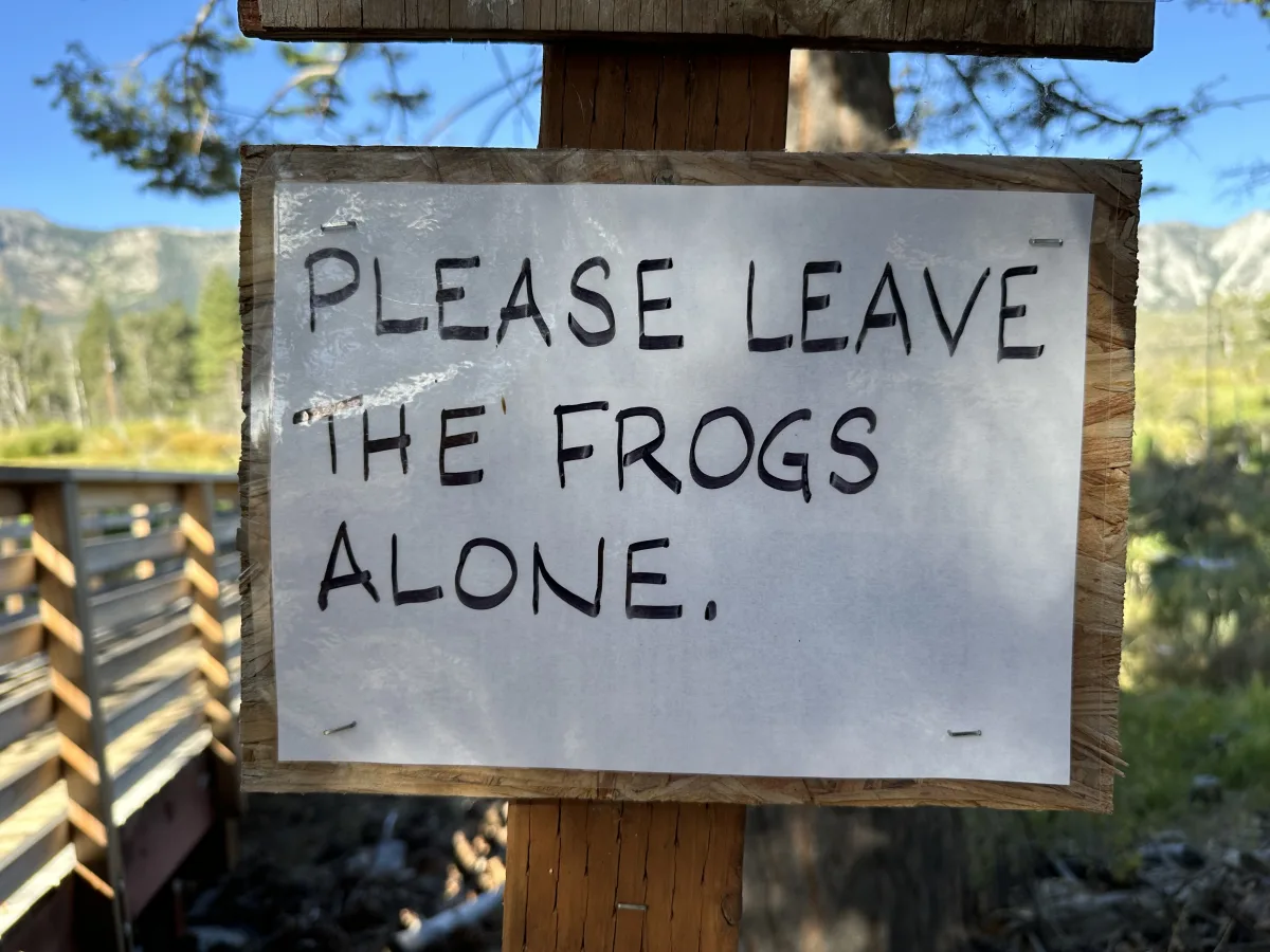 Close-up of a handwritten notice on white paper stapled to a wooden post, reading “PLEASE LEAVE THE FROGS ALONE.” The background is an outdoor natural setting with trees, mountains, and a wooden railing/bridge visible out of focus.
