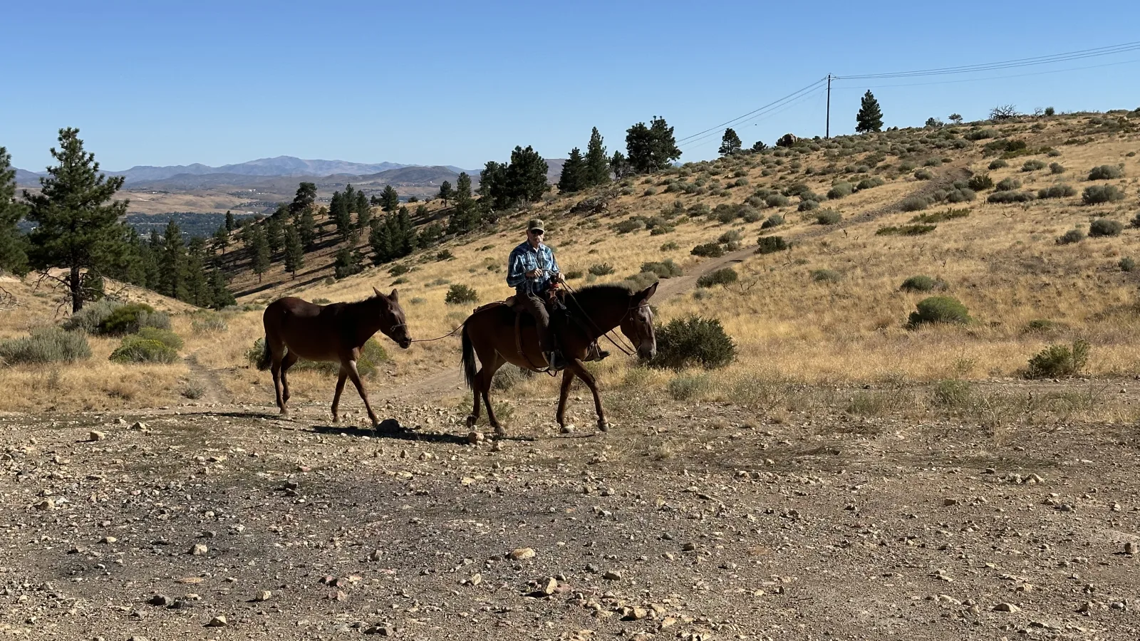Wide outdoor landscape photo of a rider on a horse leading another horse along a dirt trail on a dry, grassy hillside with scattered shrubs and pine trees; distant mountains under a clear blue sky.