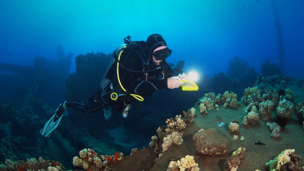 maui diver taking notes mala warf