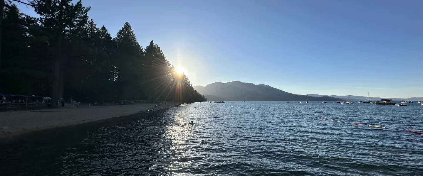 Wide landscape photo of a lakeshore at low sun, with tall conifer trees along a beach on the left, rippling water in the foreground, distant mountains across the lake, and several small boats on the right under a clear blue sky.