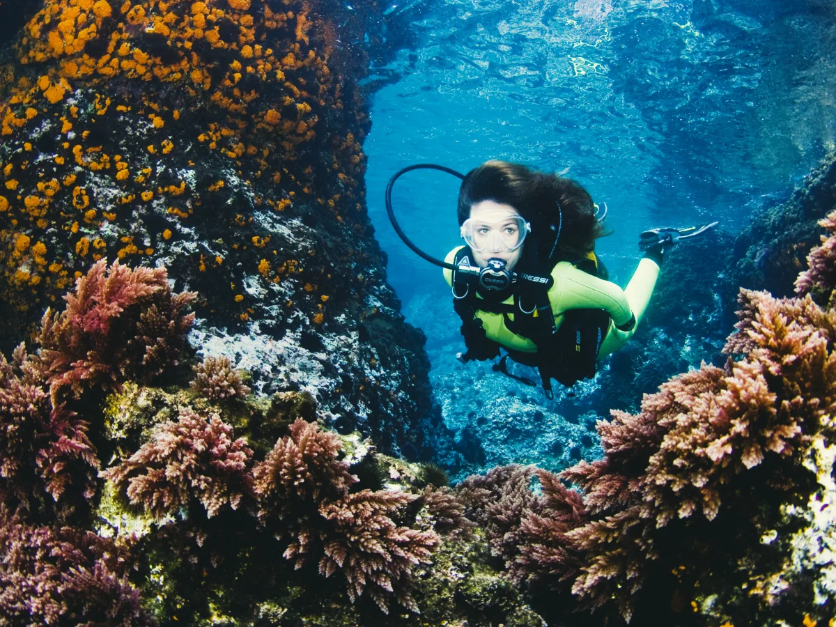 Underwater scene showing a scuba diver swimming through a rocky reef corridor with colorful marine growth and clear blue water above.