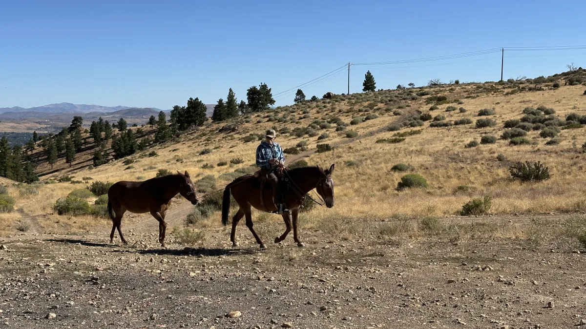 Wide outdoor landscape photo showing a person riding a saddled horse on a rocky dirt path while leading a second horse by a rope.